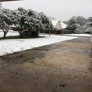 Meet your Posher, Larry